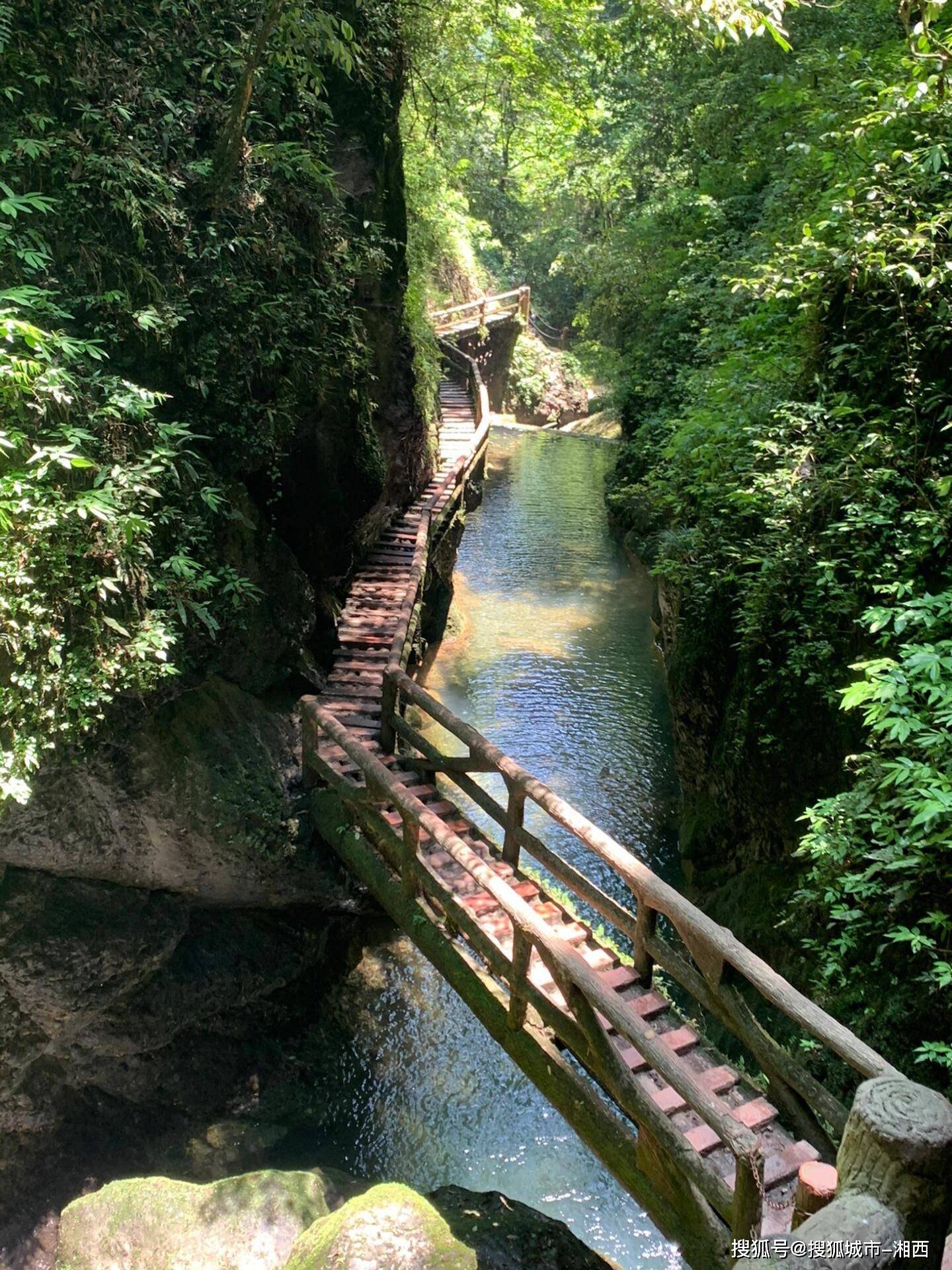 四川旅游景点推荐峨眉山 ,满满干货建议收藏,2024最新版