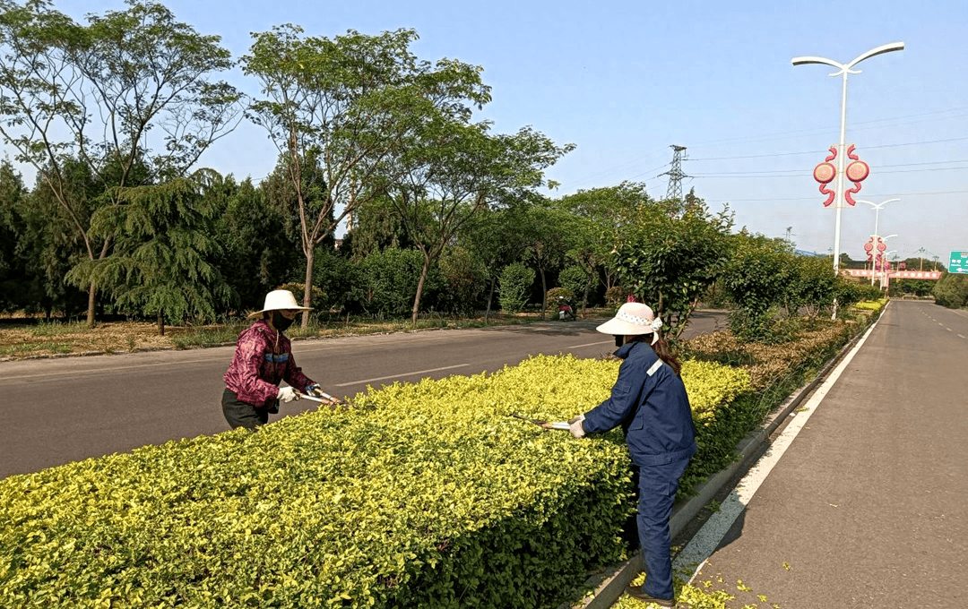 助力美丽乡村建设