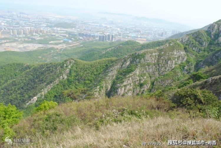 大连金牌导游推荐,大连旅游踏青景点推荐_樱花_公园