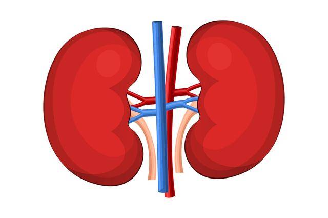 一喝水尿就多,这是代表肾脏好还是不好?看完文章后,涨知识了_尿液_厕