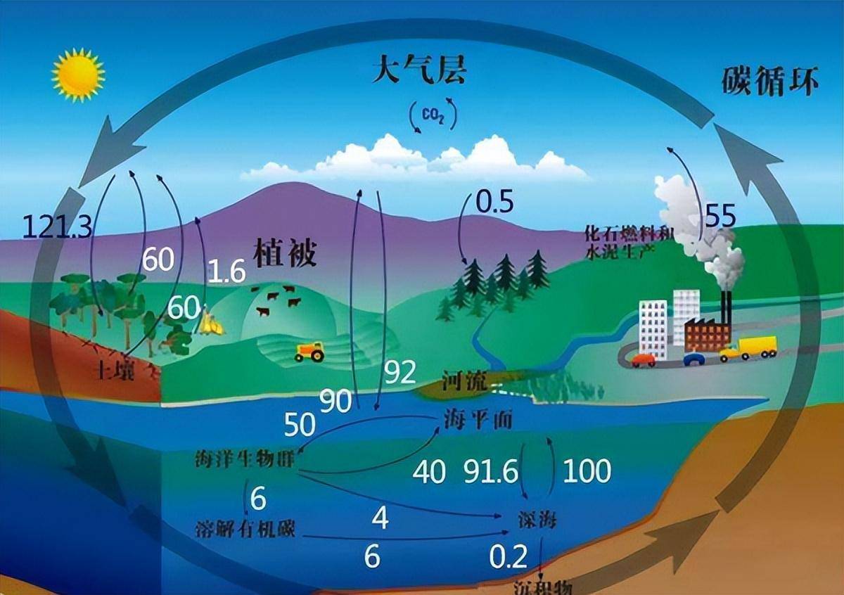 需要注意的是,地球的"吸碳"现象并不意味着整个地球将大降温,全球变暖