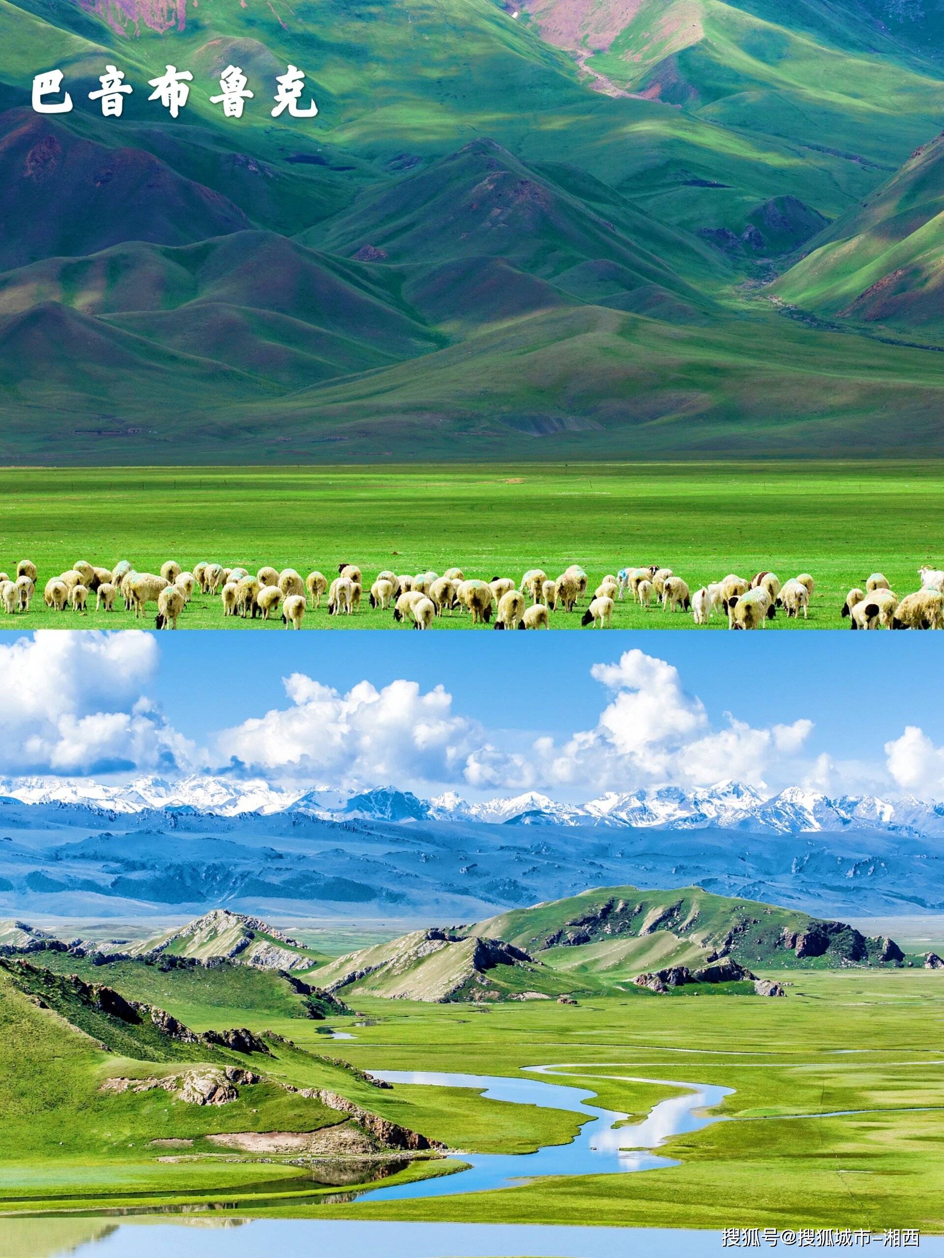 新疆5日游自由行多少钱?塔里木河,巴音布鲁克草原五天旅游攻略