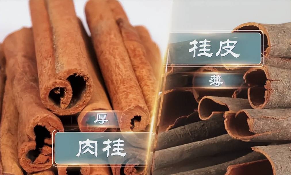 肉桂和桂皮一字之差,但不是去皮的区别,区别很大,别再用错了