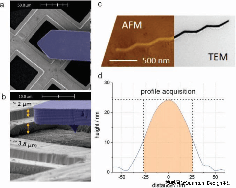 afm/sem二合一显微镜,一键触达感兴趣区域,三维形貌轻松表征!