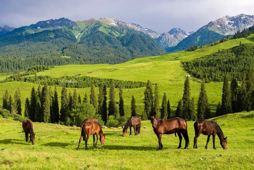 中国新疆江南伊犁 | 环天山草原 独库公路纯玩休闲旅游摄影品质小团