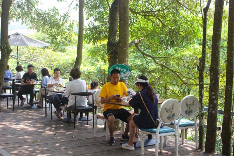 "五一"反向游"出圈" 边陲小城成为小众宝藏旅游地_游客_文化_西盟县