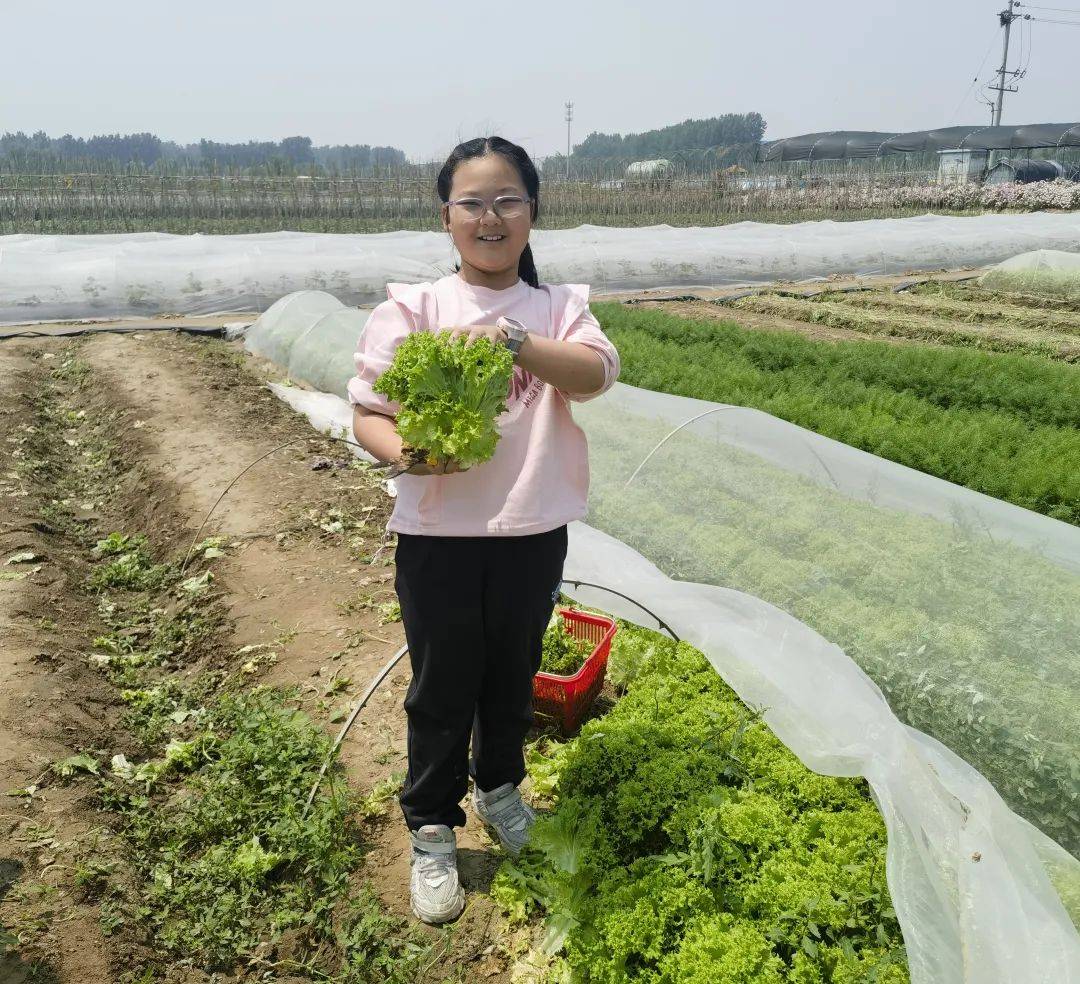 郑州市金水区文化路第二小学家庭教育第三课劳动成果展示