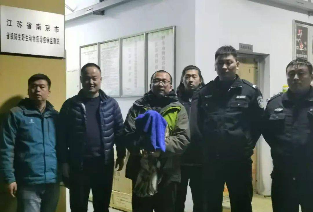 2020年,安徽男子在菜地捡到"大鸟",儿子的提醒让他赶往派出所_赵亮