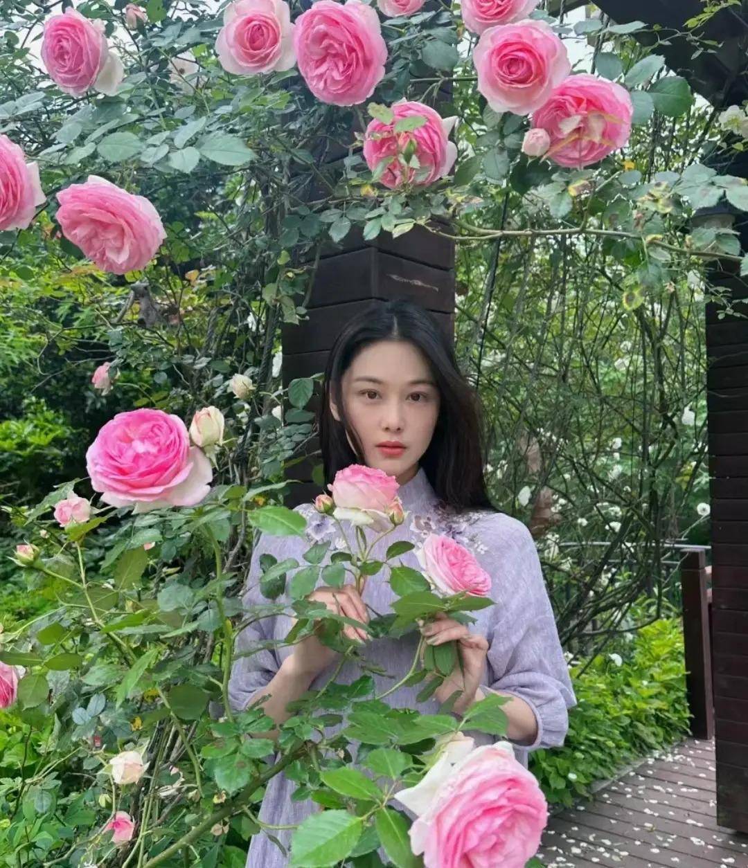 张馨予何捷回广州了!自家小院5月已开满鲜花,喝茶吃西瓜太享受