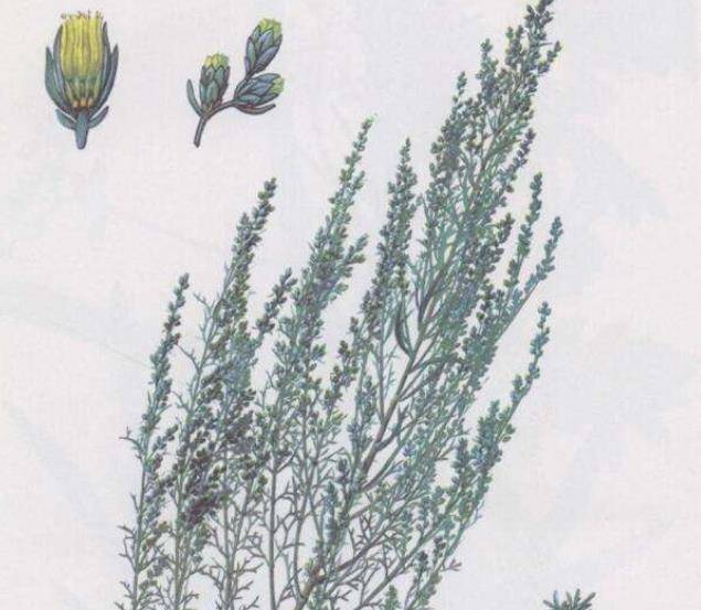 "宝塔糖"曾风靡全国,为何突然消失了?这是我国制药史一大悲剧