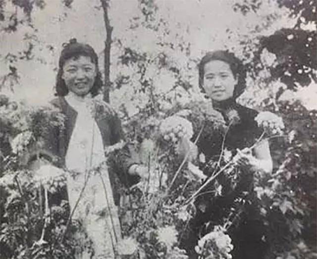 赵清阁:红颜不敌原配,为老舍一生未嫁,晚年否认两人恋情