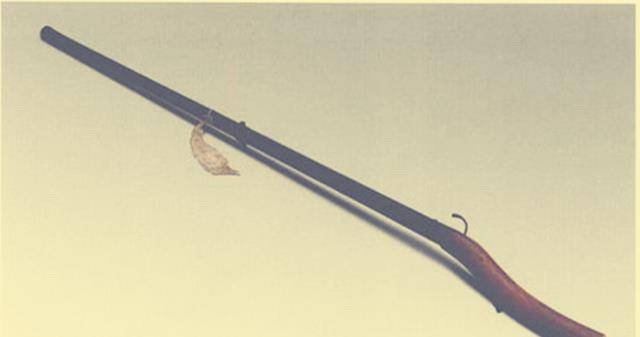 鸟枪是军国第一利器也是清朝皇帝经常挂在嘴边的话,乾隆还用火枪