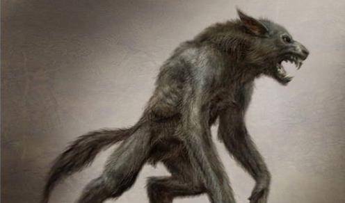 狼人:4000年前就有传说记载,为什么基本都是反派?