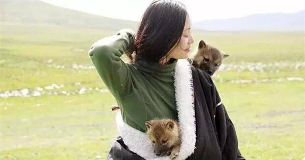 四川女孩认狼当"儿子",为养"儿子"卖车卖房,11年后结局感人