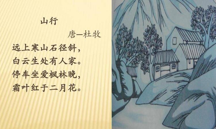 因"停车坐爱枫林晚",康震在诗词大会上被专家质疑,他真错了?