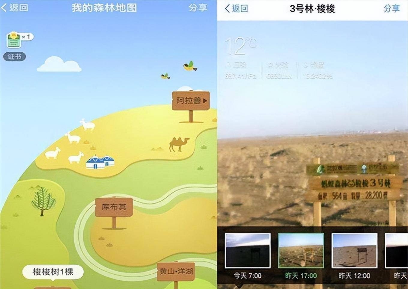 6年前,马云承诺:蚂蚁森林每年种1亿棵树,如今结果如何?