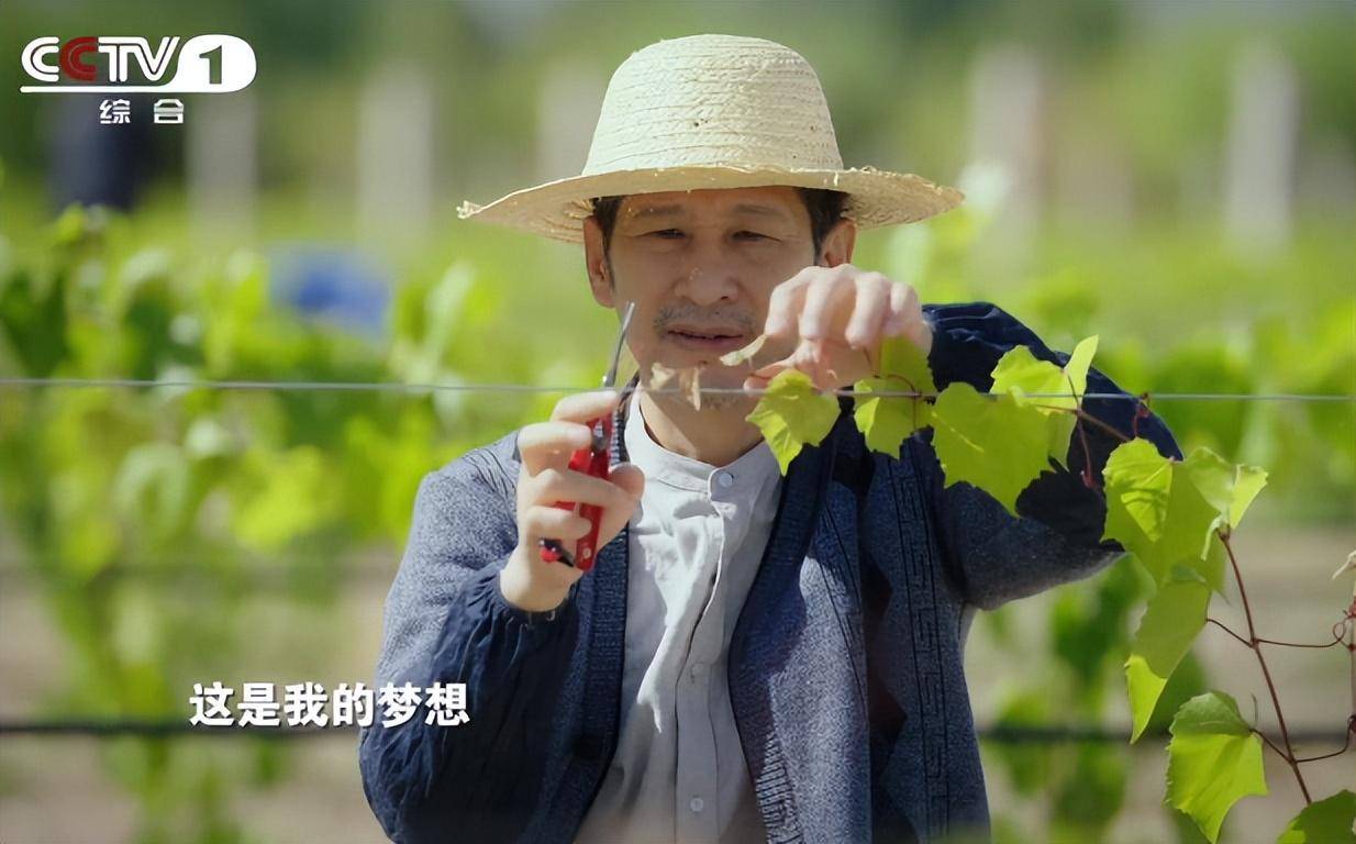 央1明晚开播!25集乡村大剧来了,王劲松甘心作配,终于有剧可追