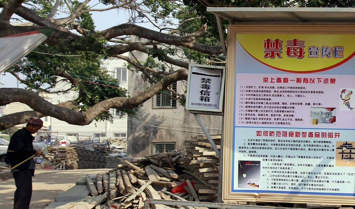 9年过去了,昔日的广东"制毒第一村"博社村,发展得怎么样了?