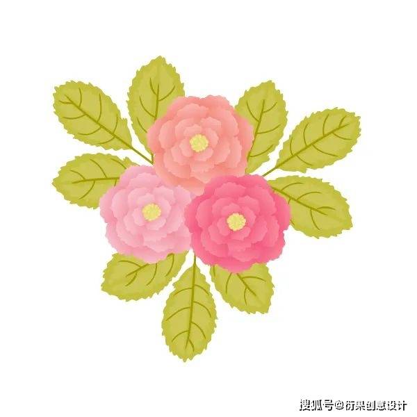 ai软件技巧,绘制牡丹花_步骤_颜色_工具