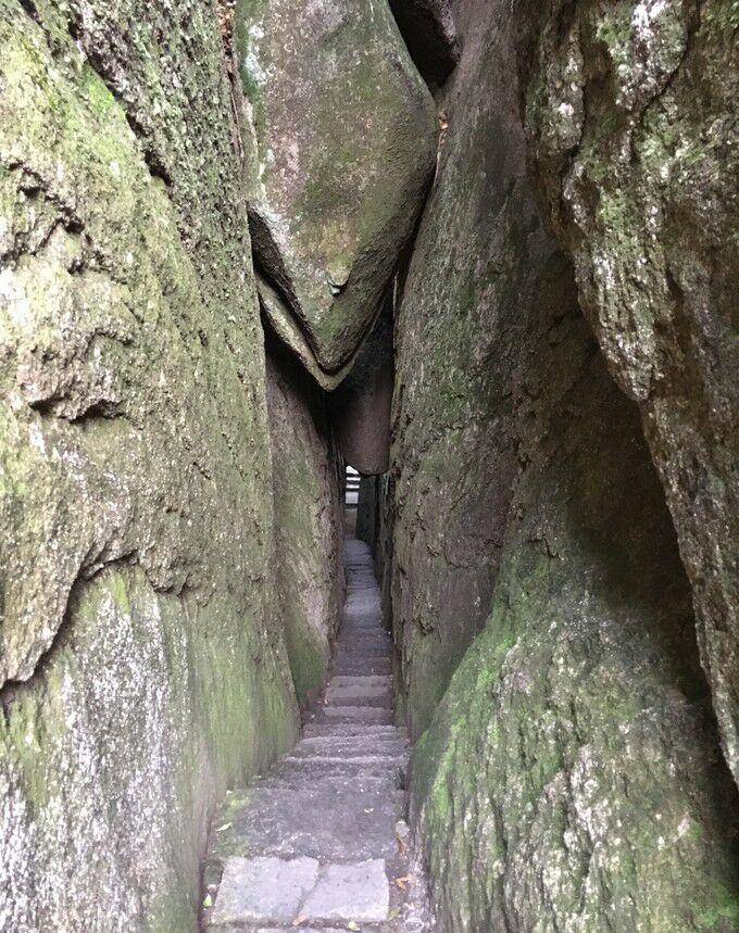 美军精心训练的"黑狼","黑虎"别动队,为何败在浙江民兵手下