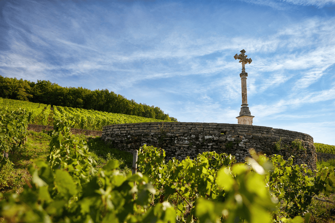 夜丘之精华,贵气迷人的酒村:沃恩-罗曼尼 vosne romanee