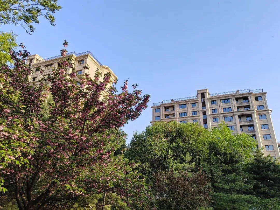 兑现力时代!济宁红星瑞马香树湾实景准现房安心更省心