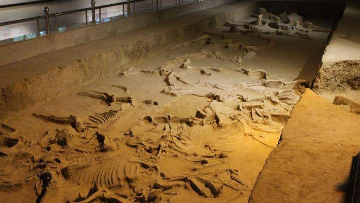 出土千年鸡蛋的古墓,陪葬马具全是黄金!墓主身份靠一个泥块确认