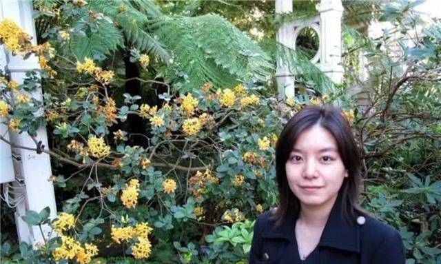 她是外交部冷艳翻译官,人称"冰美人",不苟言笑神似赵薇