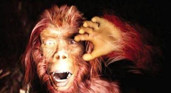 揭秘神农架野人未解之谜,其神秘现象至今也没搞懂,真相是什么?