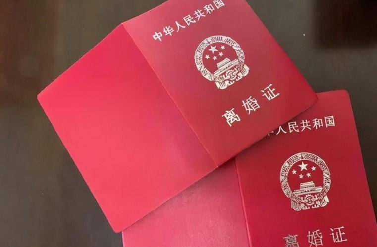 只不过,女车主只是江雁南的前妻,两人在2010年办的离婚证.