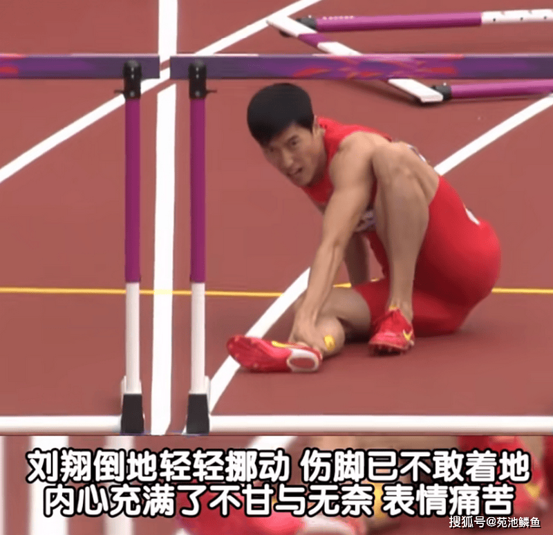 吴燕妮心疼刘翔,多次为国争光拿冠军,网友却总拿两次退赛说事