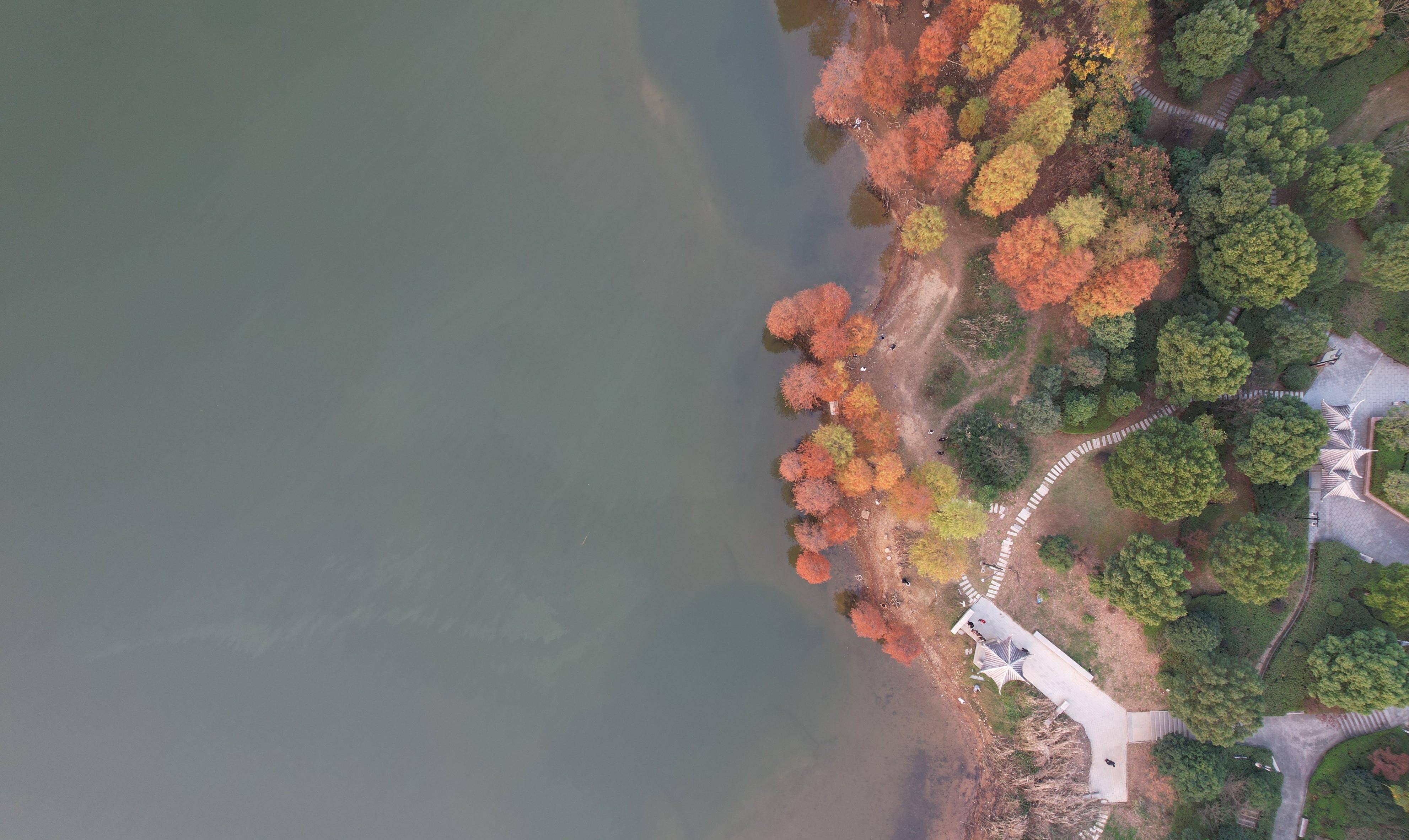 忆当年峥嵘岁月 享当下红杉福地-余姚市四明湖的前世今生_水库_水源