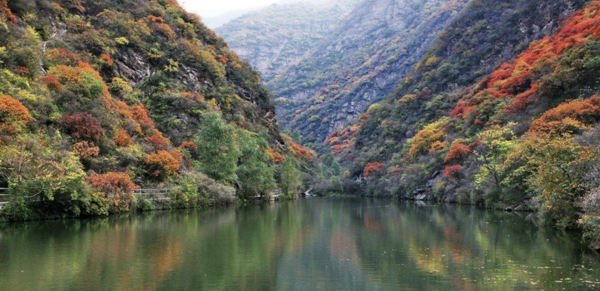 北京门头沟:百公里的永定河伴随着一只蛹破茧成蝶