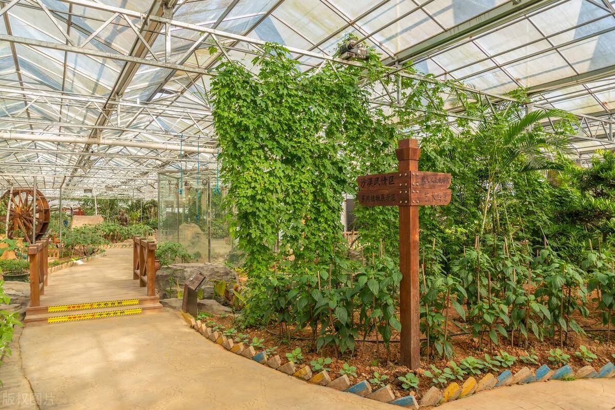 如何对休闲农业园下定义?