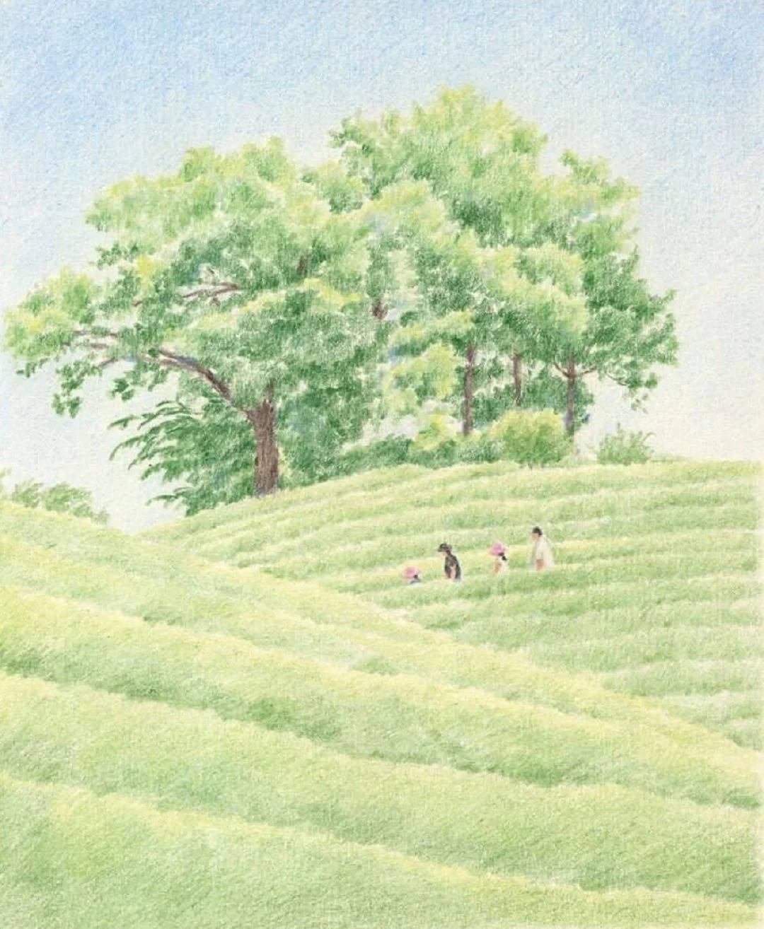 插画说|彩铅绘的森林奇景|成都知言合一教育分享