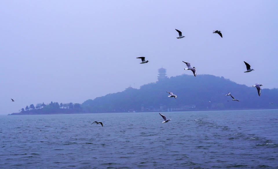无锡太湖鼋头渚风景区位于江苏省无锡市大浮镇,鼋头渚为中