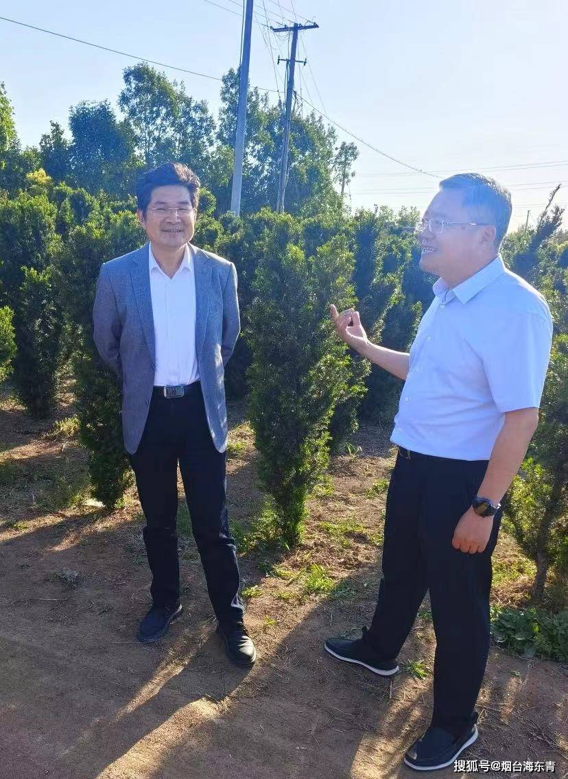 多方齐合作,共筑乡村振兴路_红豆杉_种植_发展