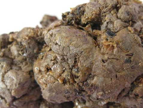 为什么收集蜂胶都要求从夏秋季节开始?老蜂农:直接影响收入