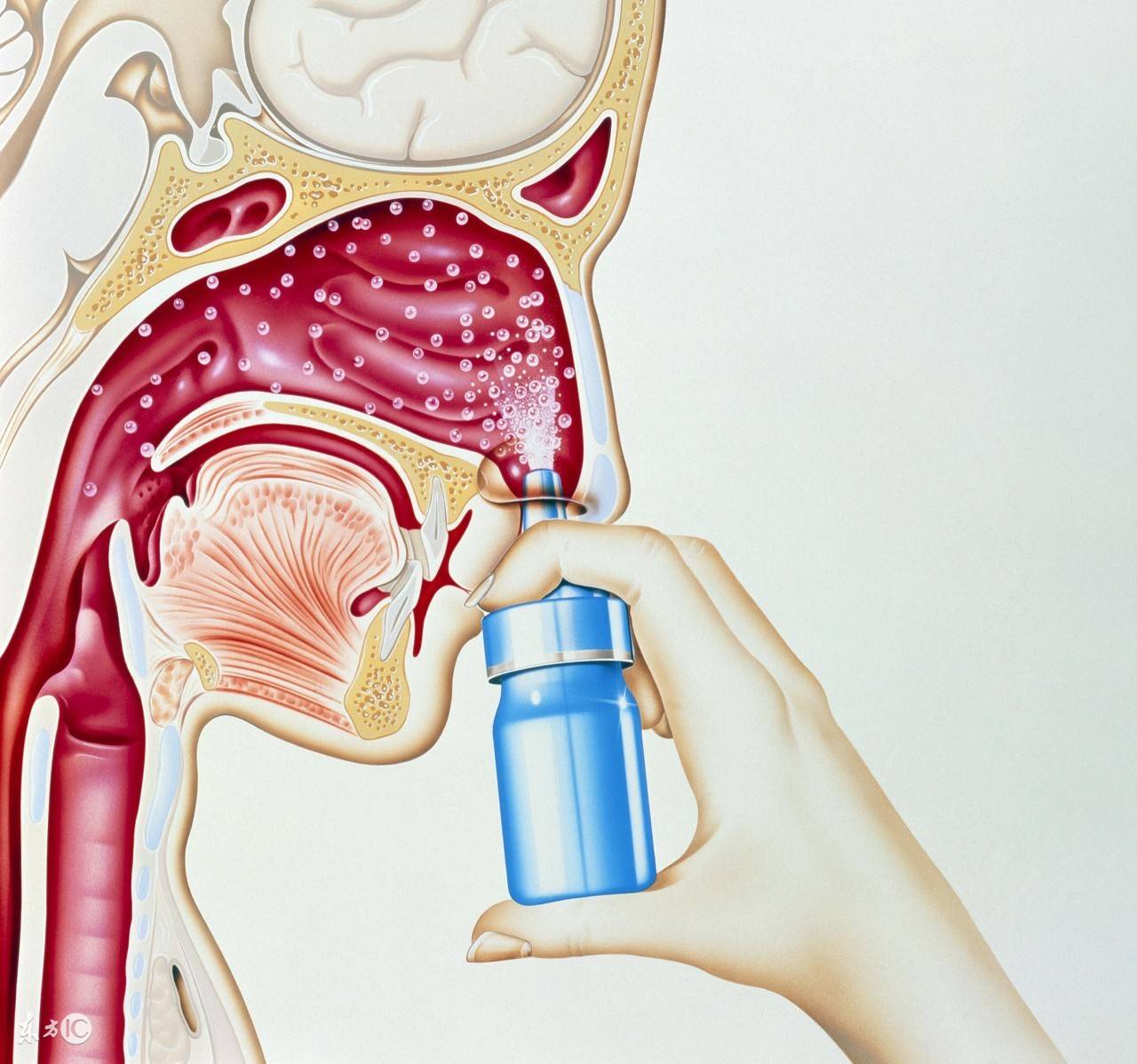 女子过敏性鼻炎30多年,贵阳铭仁耳鼻喉医院一招治愈!_治疗_鼻腔_女士