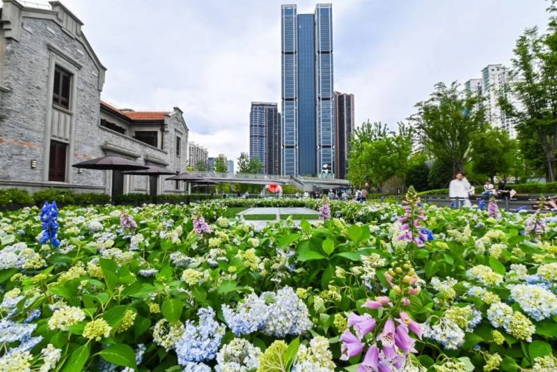 活动伊始,嘉宾们参观了鲜花盛开的苏河湾万象天地公园绿地.