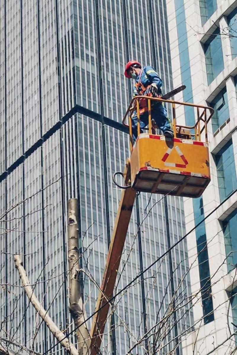 正规高空作业证图片