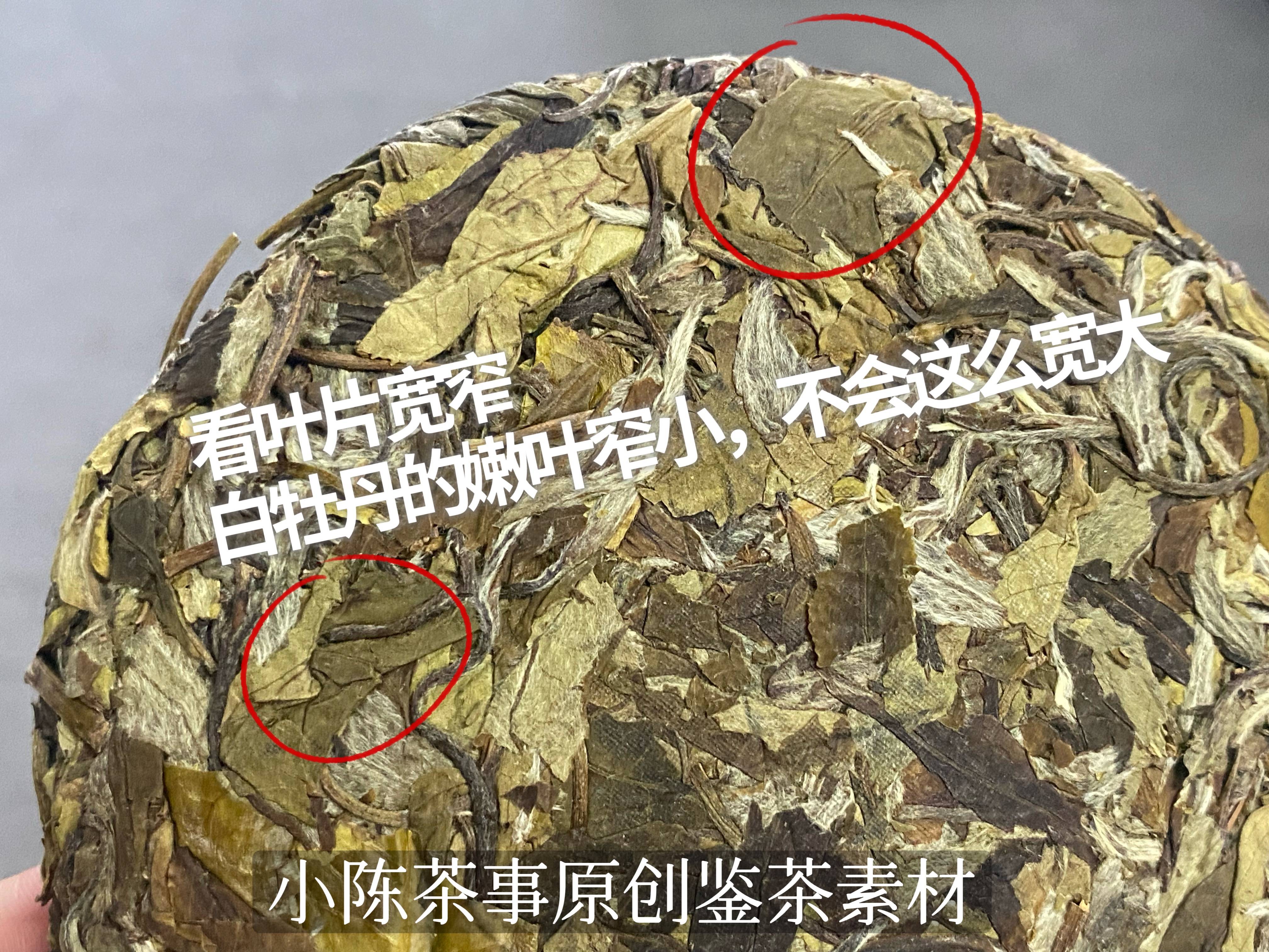 牡丹饼简笔画图片