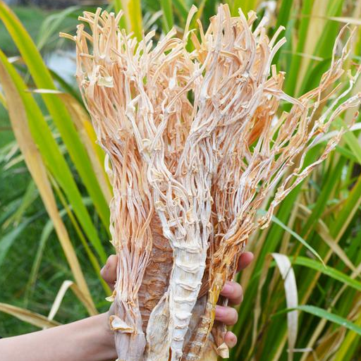 肝病的"克星",每天睡前吃一些,养肝护肝排肝毒_肝脏_的作用_功效