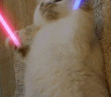 哈哈哈哈这是什么宝藏猫咪,举起你的双手,挥起你手中的荧光棒,让我