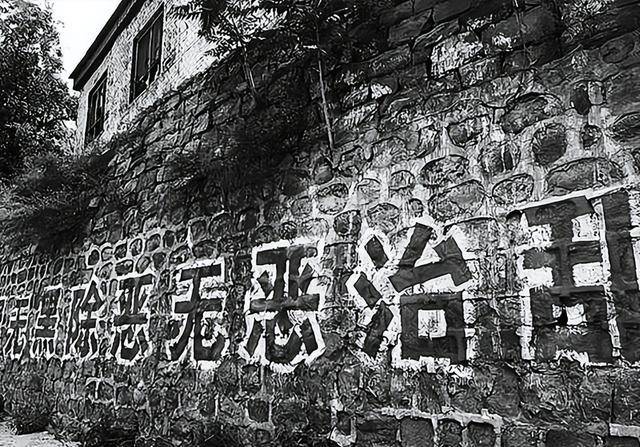 山西"阔太"寇静瑶落网记,19岁婚礼花费千万,被捕时脚穿爱马仕