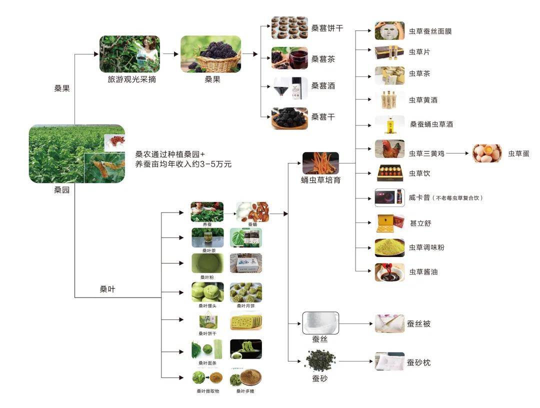 把握机遇,共筑未来——藏仙集团精心打造大健康一体化产业链
