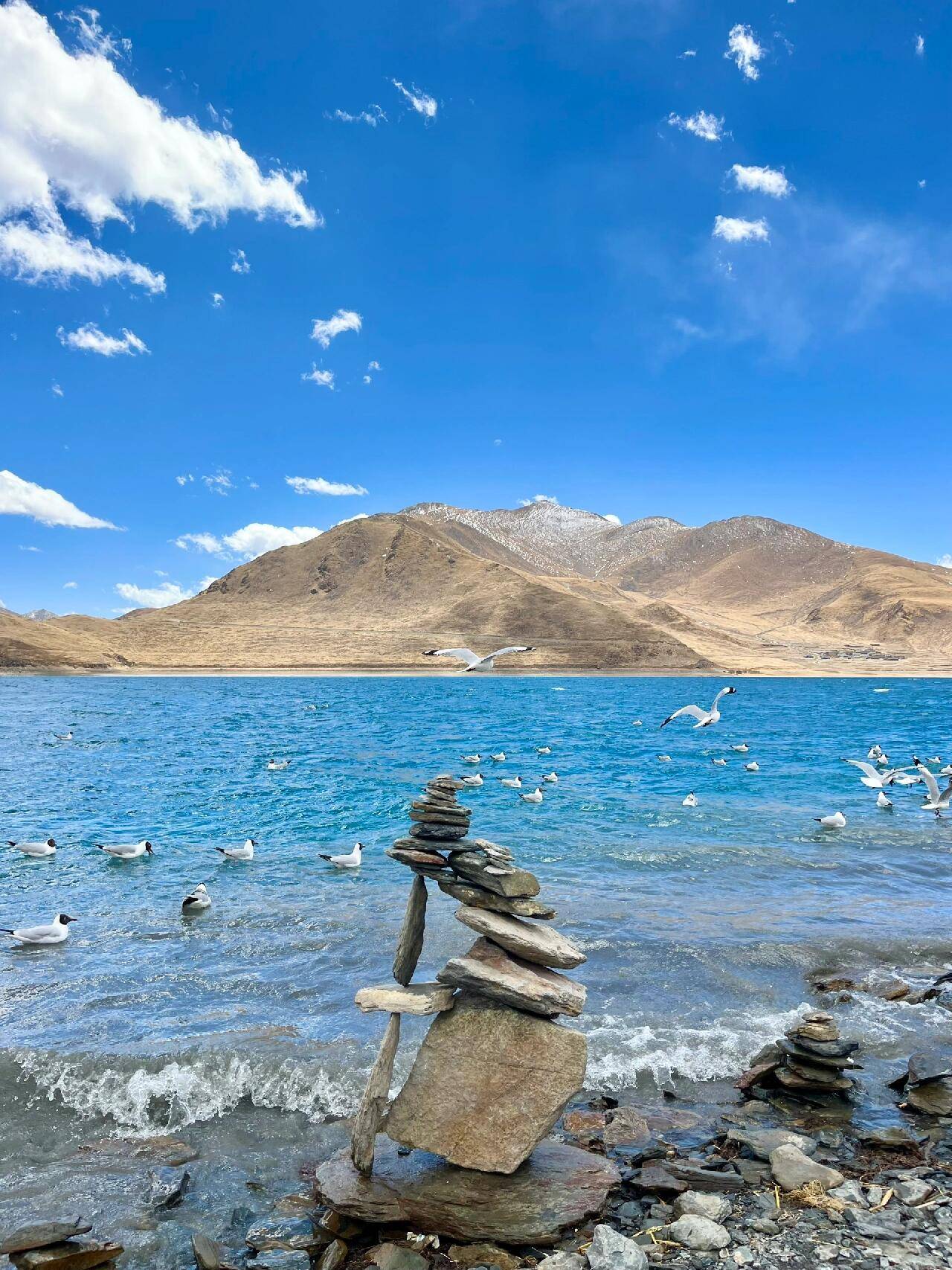 怎么玩最好,最新超全实用西藏旅游攻略旅游出行看这篇_阿新_住宿_导游