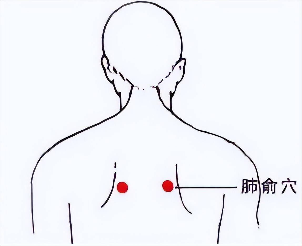 平肝清肺的准确位置图图片