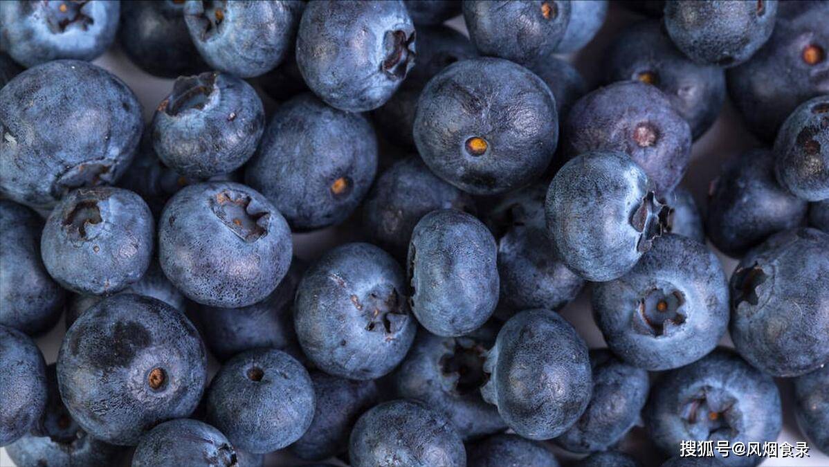 中国哪里的蓝莓最好吃?经过评选,这10个地方上榜,有你家乡吗?