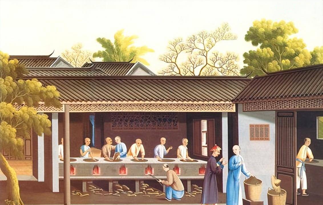 福建外销茶叶为什么能在清代异军突起?